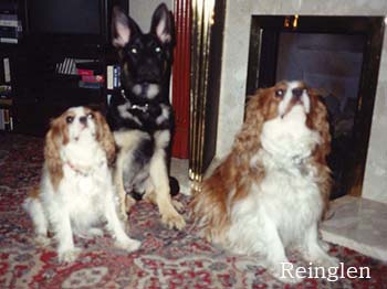 Bonnie, Rags and Ben