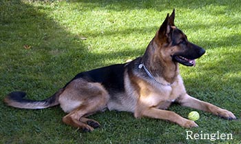 Kaiser