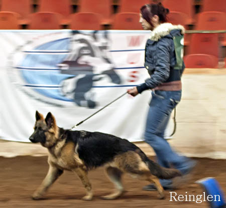 Kassi at a show